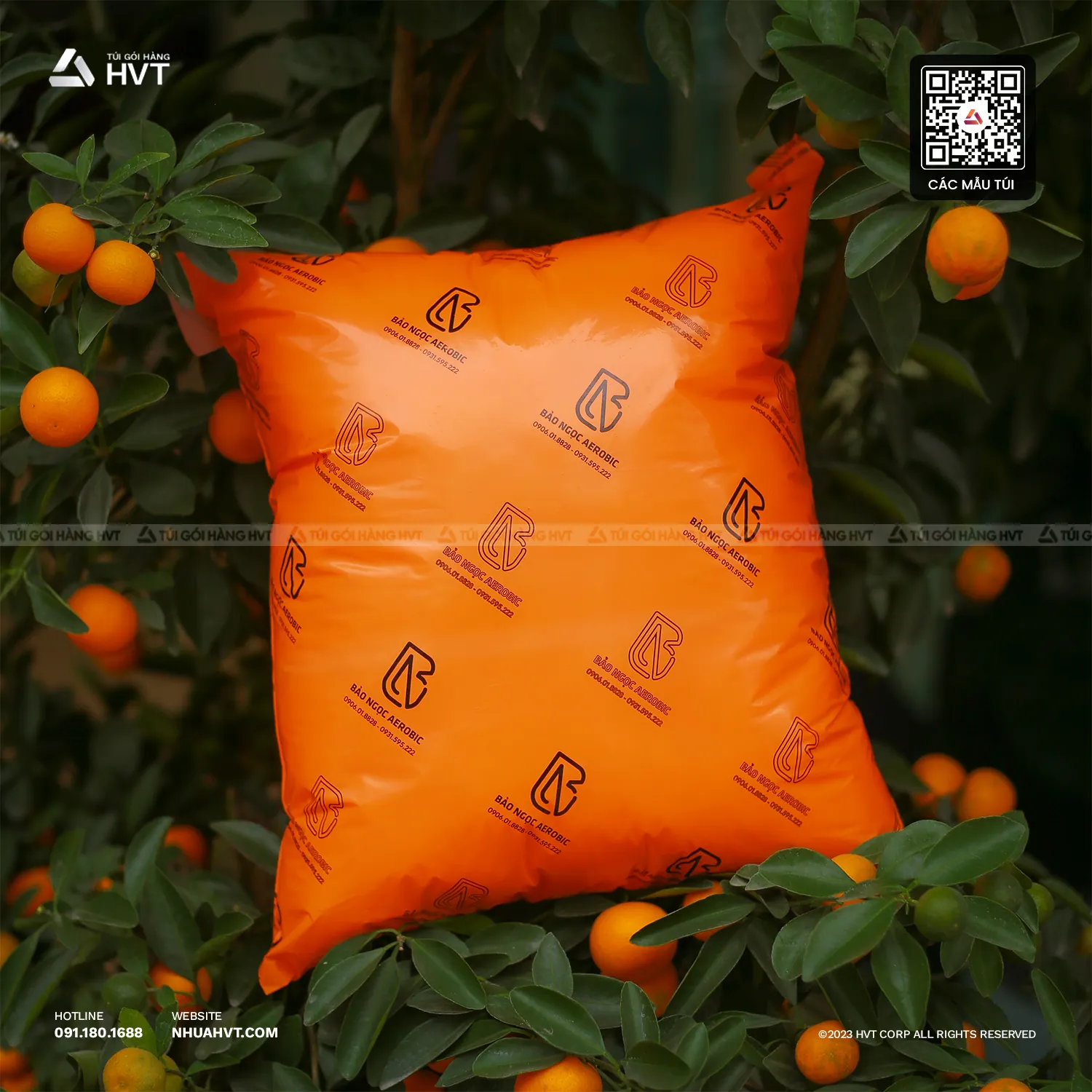túi gói hàng in logo thương hiệu