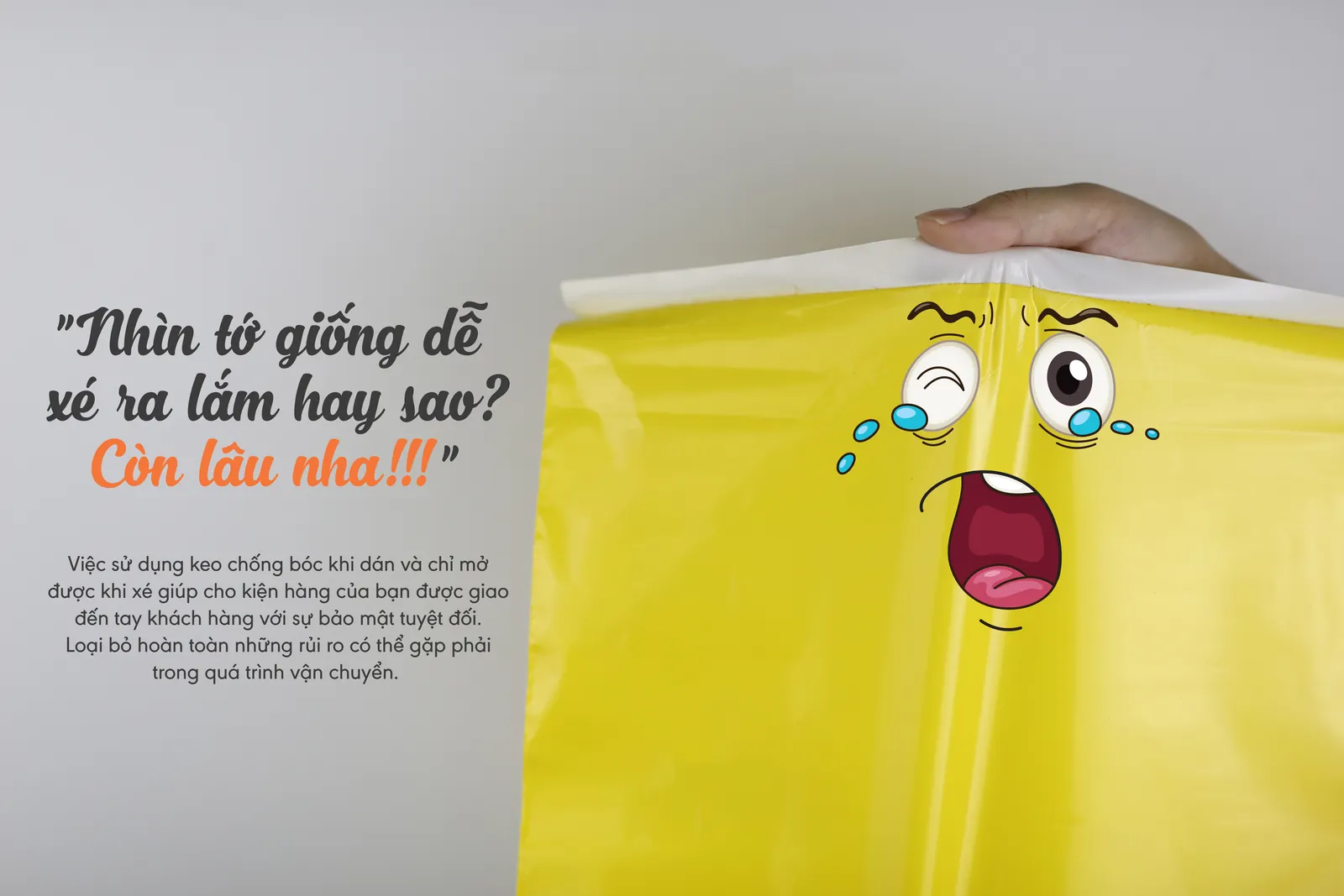 túi gói hàng niêm phong